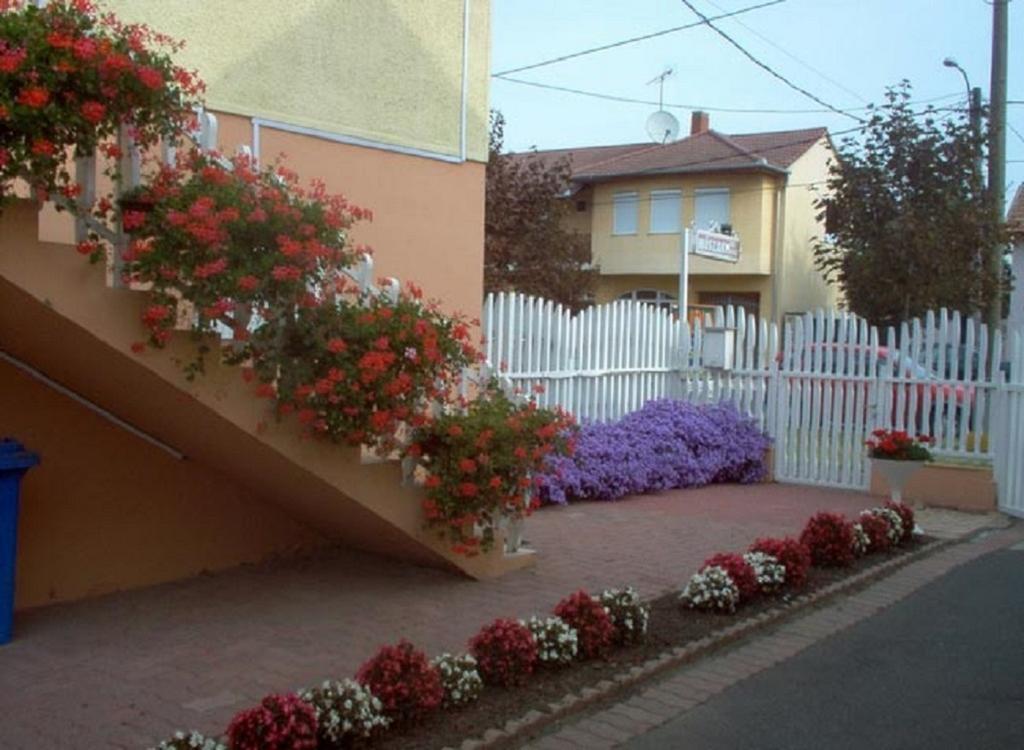 Sarkadi Apartman Hajdúszoboszló المظهر الخارجي الصورة